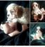 Cavalier King Charles štenci